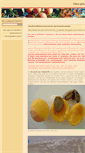 Mobile Screenshot of bittere-aprikosenkerne.de
